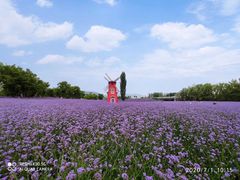 -黄河三峡风景名胜区