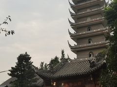 -生宇山珍野生菌汤锅•始于1999(双流古塔店)