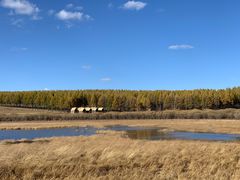 -塞罕坝国家级自然保护区