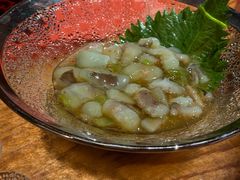 -松涛日本料理