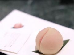 -青山研究所Aoyama Lab