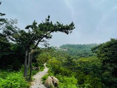 -青岛电视塔