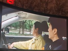 -枫花园汽车电影院(朝阳公园店)