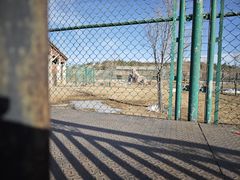 -鄂尔多斯野生动物园