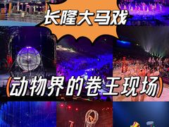 -广州长隆国际大马戏