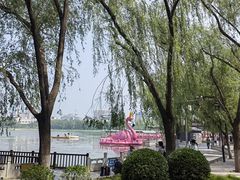 -莲花池公园