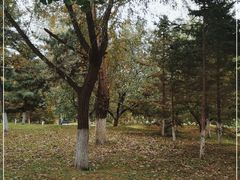 -长白岛森林公园