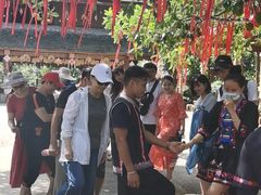 -西双版纳原始森林公园