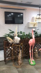 点击看大图 -YESIDO椰岛造型