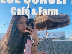 -Blue Concept Cafe&Farm·關於藍