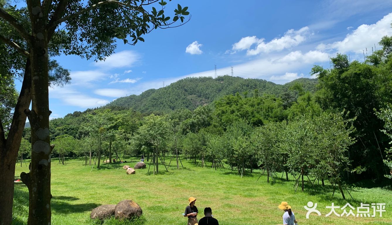 风景露营篇田心公园露营