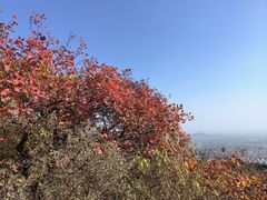 -北京西山国家森林公园