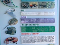 -北海金海湾红树林生态旅游区