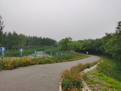 -东郊湿地公园