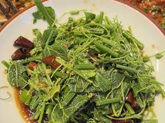 -川正旺江湖菜(三元桥店)