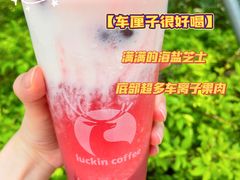 -瑞幸咖啡(深圳儒骏城立方店)