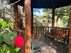 -EG Waterhouse Camellia Gardens Sutherland Shire