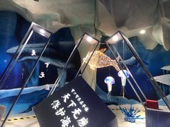 -海合安青岛极地海洋公园
