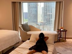 -北京中国大饭店