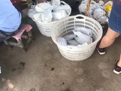 -马陆小张葡萄园农家乐