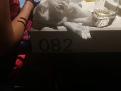 -海底捞火锅(长沙华创国际广场店)