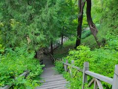 -香山公园