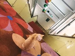 -黄金水汇·美食(文锦渡店)