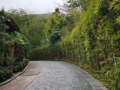 -深圳东部华侨城茵特拉根酒店