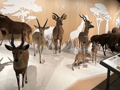 -陕西自然博物馆