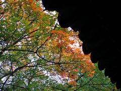 -香山公园