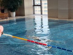 -盛捷游泳·潜水·高尔夫培训(凯德广场店)