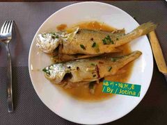 -陶然居大酒店·自助餐