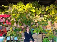 -自由生长植物工作室(深港花卉中心店)