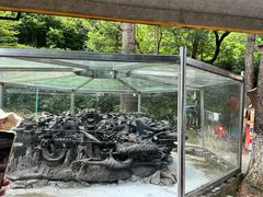 -珠海圆明新园
