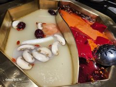 -蜀九香火锅(彩虹店)