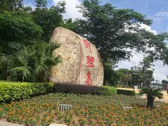-野狸岛