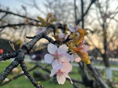 -玄武湖景区-情侣园游乐场