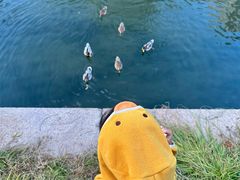 -元大都城垣遗址公园