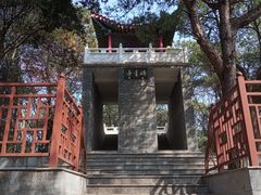 -青龙山国家森林公园