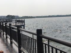 -鹅湖玫瑰文化园