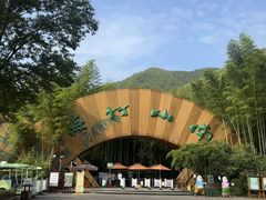 -紫藤园·天目湖大鱼头(南山竹海店)