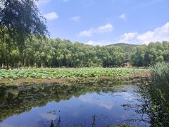 -哈尔滨北方森林动物园