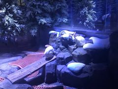 -上海海昌海洋公园