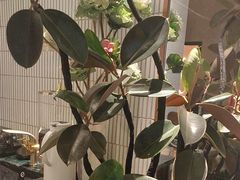 -涟LIAN·泰式按摩·MASSAGE·SPA(华强北店)