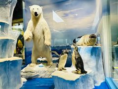 -国家自然博物馆