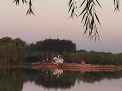 -东郊湿地公园