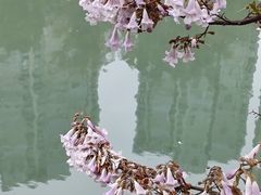 -成都市活水公园