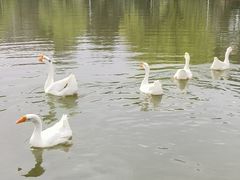 -杭州师范大学(下沙校区)