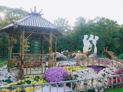 -上海共青森林公园