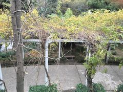 -叶家花园